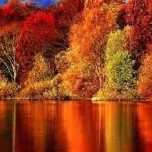 Meet your Posher, Tim